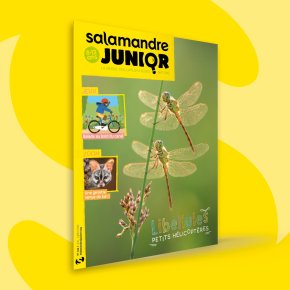 Salamandre Junior, 8-12 ans : Juin-Juillet&nbsp;2022