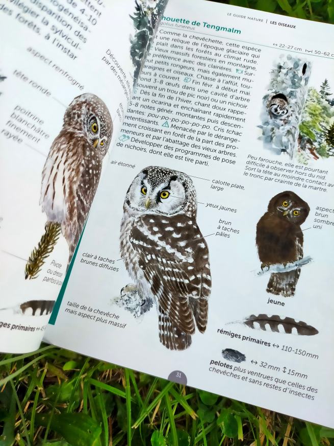 293782562_601111274733550_941486382123329818_n