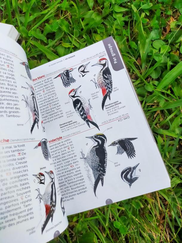 293942445_798536194480804_1563159459627416542_n