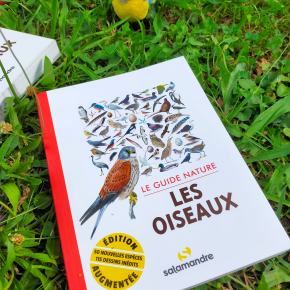 Le Guide nature : Les Oiseaux (nouvelle&nbsp;édition)