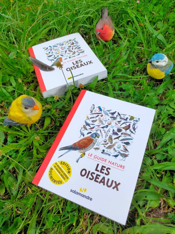 294789748_606862284141443_501415975586993937_n