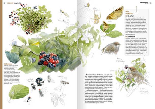 enfin-la-pluie-_1528_fr_62dff34aa241e