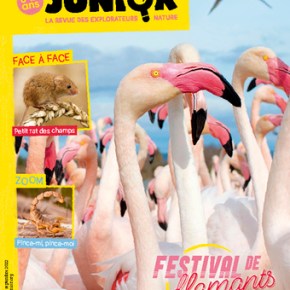 Salamandre Junior, 8-12 ans : Août-Septembre&nbsp;2022