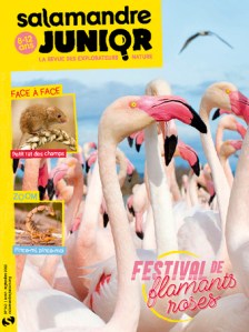 festival-de-flamants-roses-n142_62e10943b320f