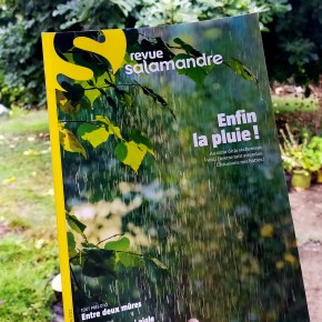La Salamandre : Août-Septembre&nbsp;2022