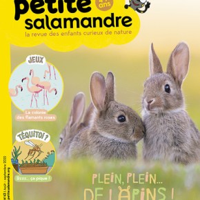 Petite Salamandre, 4-7 ans : Août-Septembre&nbsp;2022