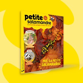 Petite Salamandre, 4-7 ans : Octobre-Novembre 2022