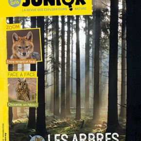 Salamandre Junior, 8-12 ans : Octobre-Novembre 2022