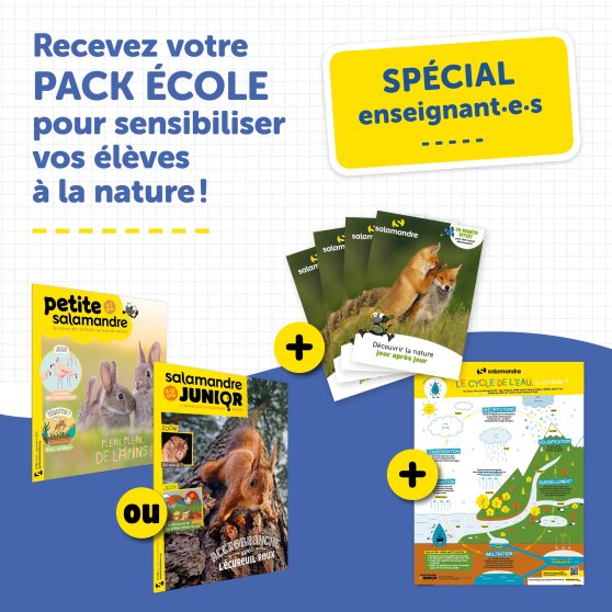 326134093_3282756172038421_8275097683526390549_n