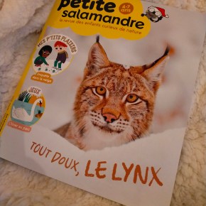 Petite Salamandre, 4-7 ans : Décembre 2022 – Janvier&nbsp;2023
