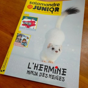 Salamandre Junior, 8-12 ans : Décembre 2022 – Janvier&nbsp;2023