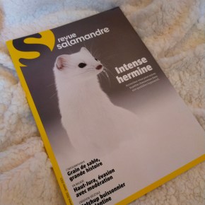 La Salamandre : Décembre 2022-Janvier&nbsp;2023