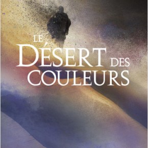 Le Désert des couleurs d&rsquo;Aurélie&nbsp;Wellenstein