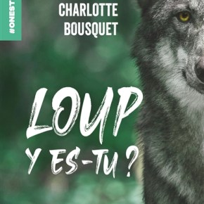 Loup y es-tu ? de Charlotte&nbsp;Bousquet