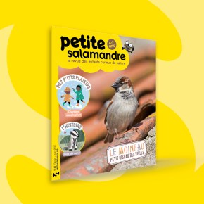 Petite Salamandre, 4-7 ans : Février-Mars&nbsp;2023