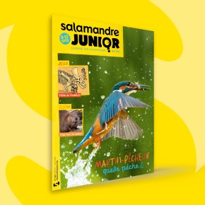 Salamandre Junior, 8-12 ans : Février-Mars&nbsp;2023