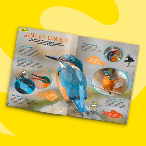 Fonds_Revues_SAJ_janvier2023_1