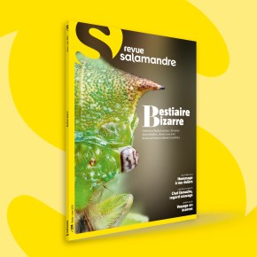 La Salamandre : Février-Mars&nbsp;2023