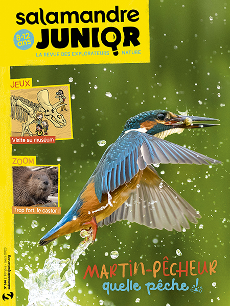 SAJ146 couv ABO 450x600