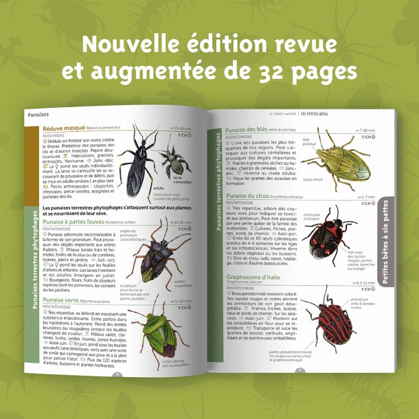 1080X1080_GN_PETITES_BETES_D1