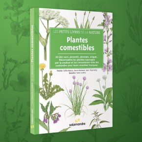 Les Petits Livres de la nature : Plantes&nbsp;comestibles