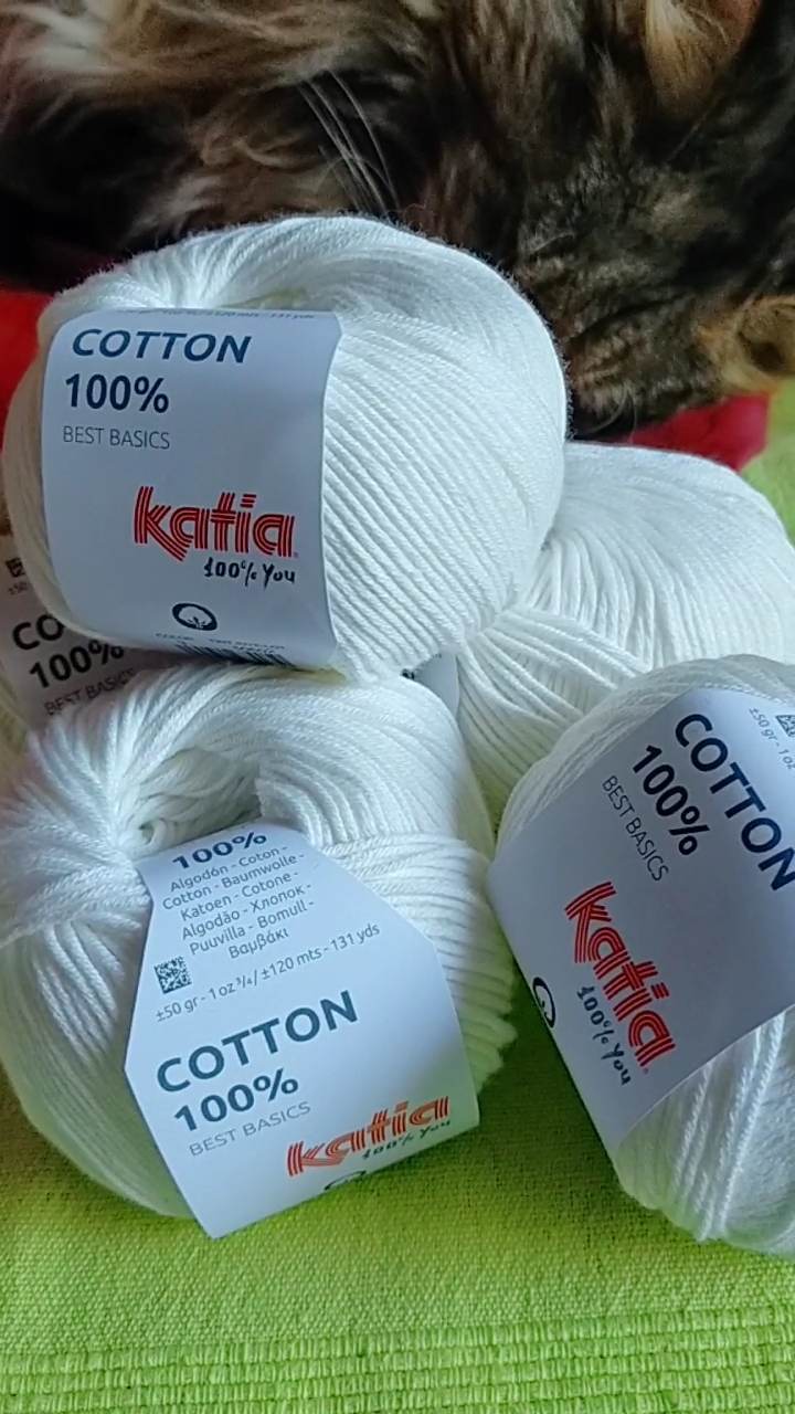 346116635_1002501310918221_4008741928695375145_n