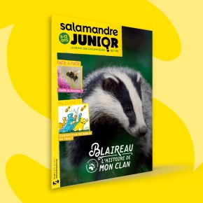 Salamandre Junior, 8-12 ans : Avril-Mai&nbsp;2023