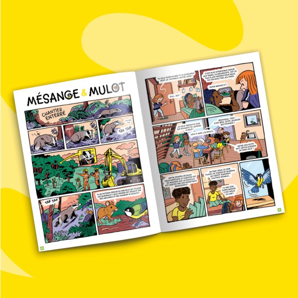 Fonds_Revues_SAJ_avril2023_3