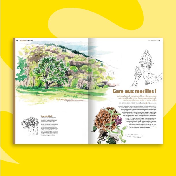 Fonds_Revues_SAL_avril2023_2