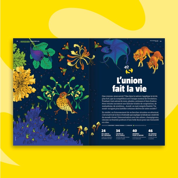 Fonds_Revues_SAL_avril2023_4