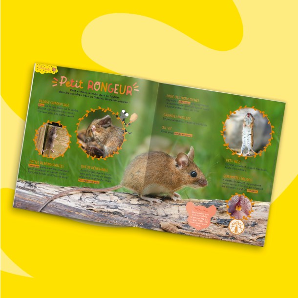 Fonds_Revues_juin2023_PSA2