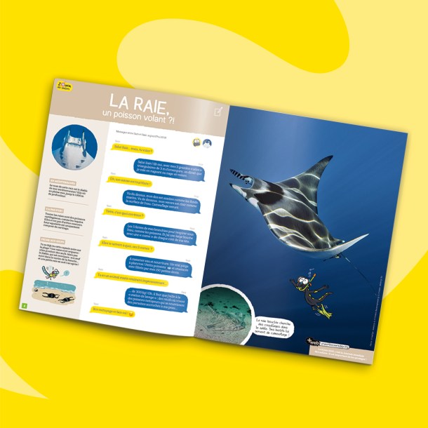 Fonds_Revues_juin2023_SAJ2