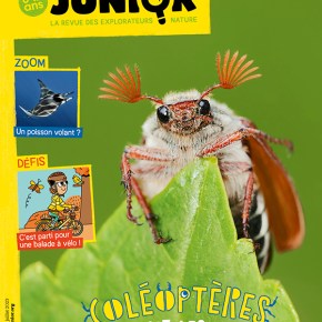 Salamandre Junior, 8-12 ans : Juin-Juillet&nbsp;2023