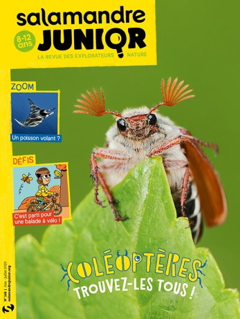 SAJ148_Couv-ABO_600px