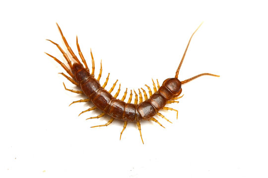 360_f_31809707_jgvvl0ggddklclcuveohdt5guhp0gblp