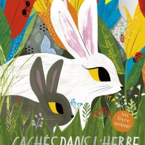 Cachés dans l&rsquo;herbe de Julia Donaldson et Sharon&nbsp;King-Chai