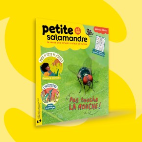 Petite Salamandre, 4-7 ans : Août-Septembre2023