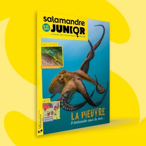 Salamandre Junior, 8-12 ans : Août-Septembre&nbsp;2023
