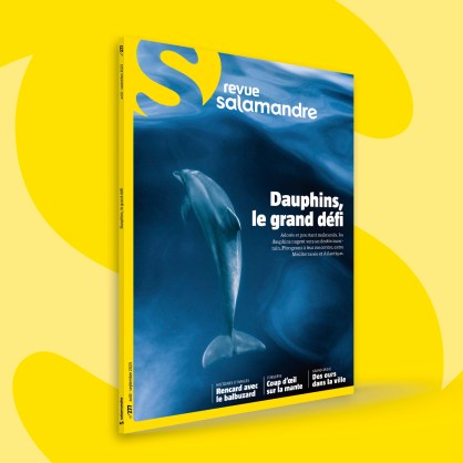 Fonds_Revues_aout2023_SAL