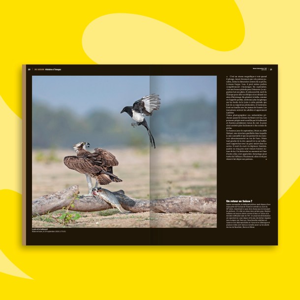 Fonds_Revues_aout2023_SAL4