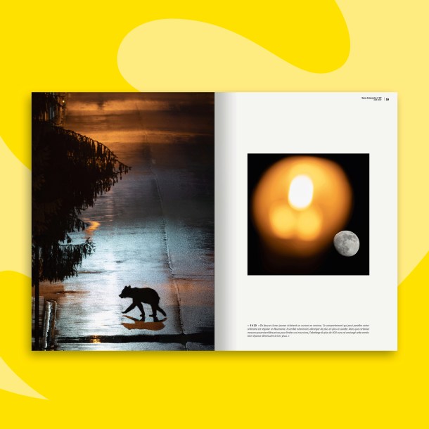 Fonds_Revues_aout2023_SAL8