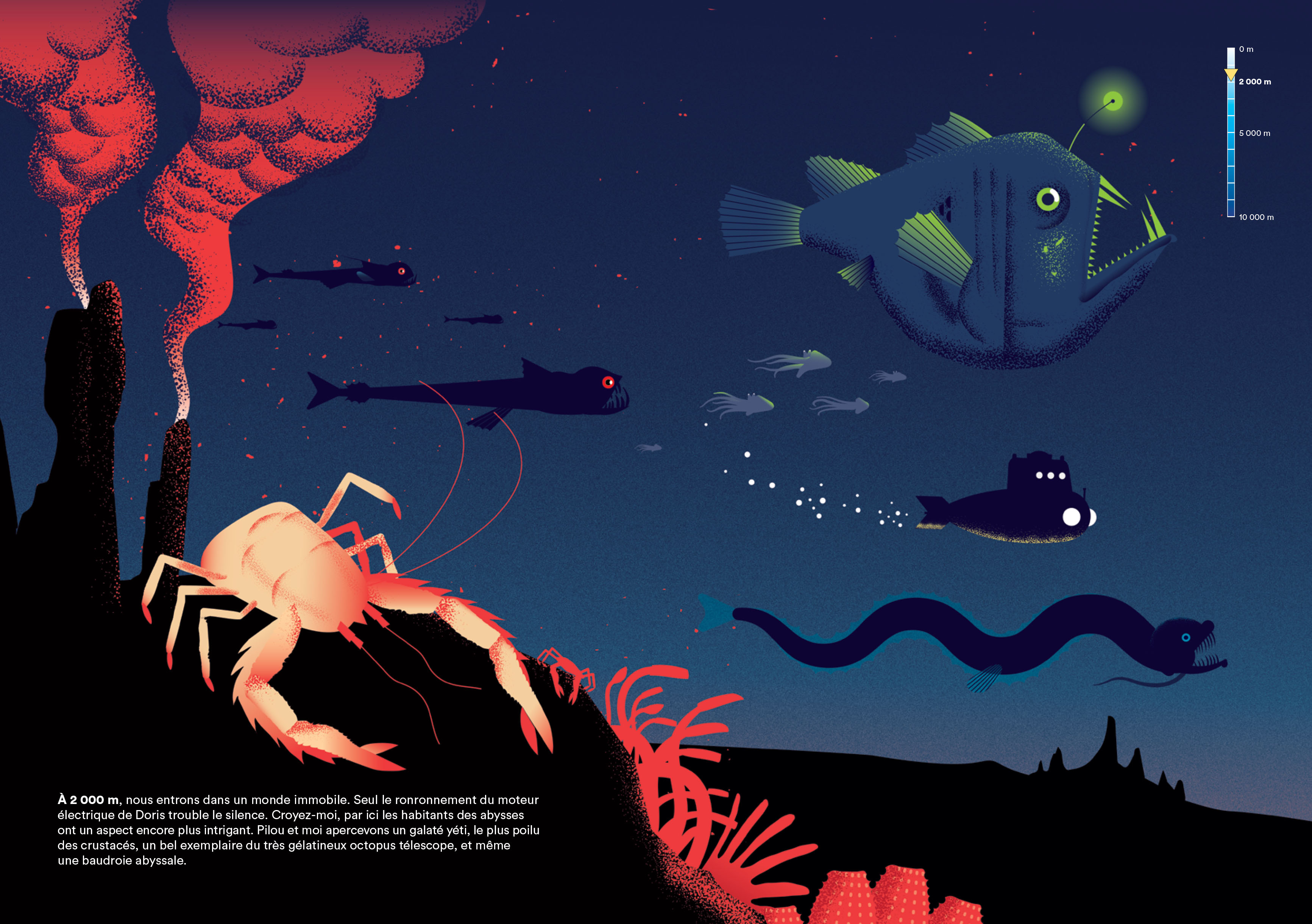 Une plongee dans les abysses avec le capitaine Fiche-INT_3