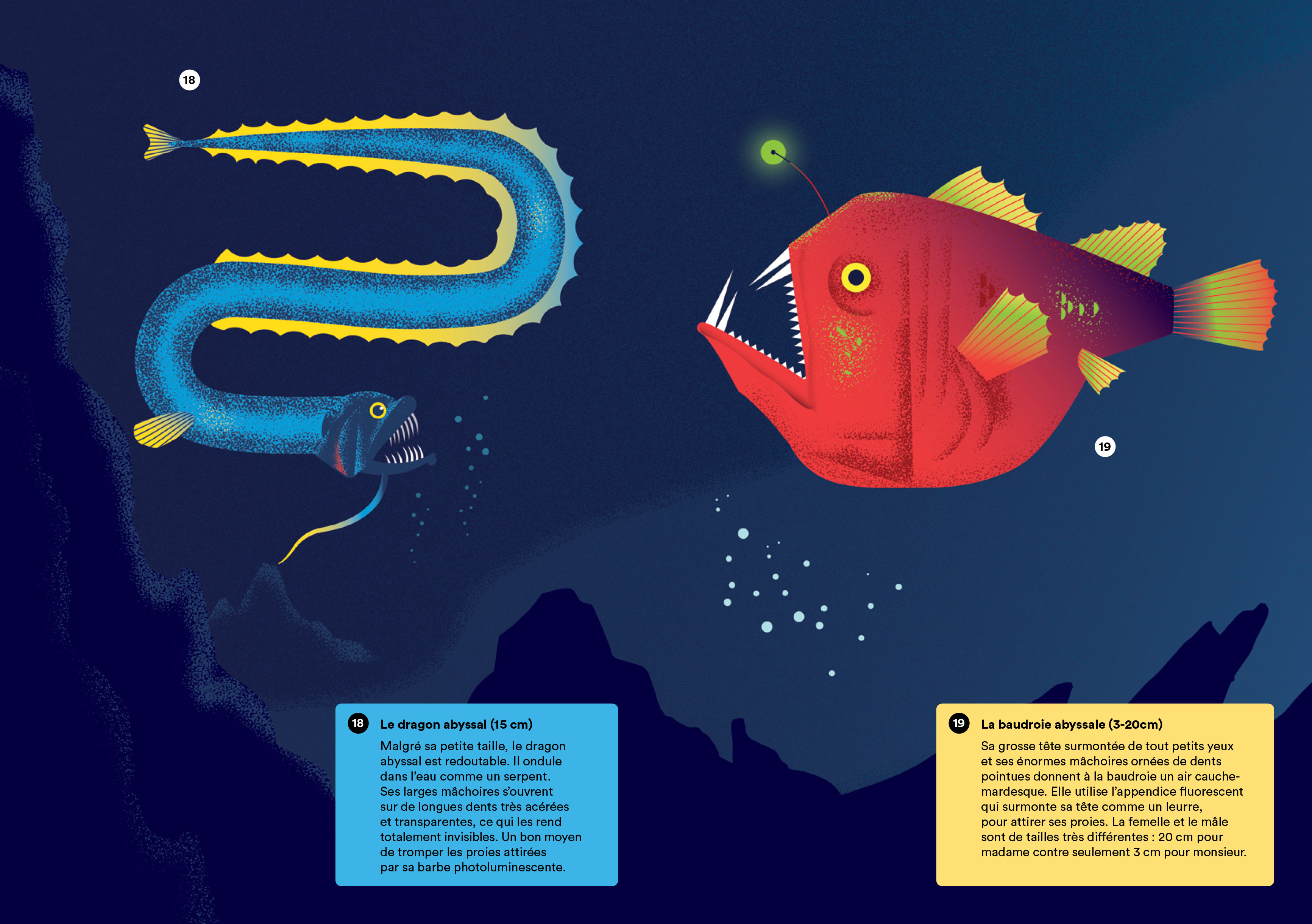 Une plongee dans les abysses avec le capitaine Fiche-INT_4