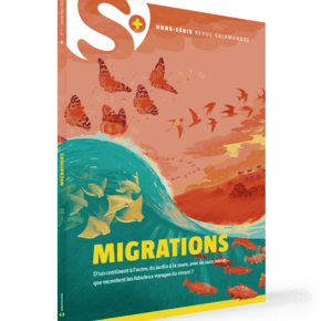 Migrations