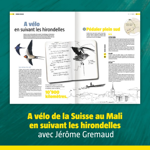 Hors série Salamandre (9)