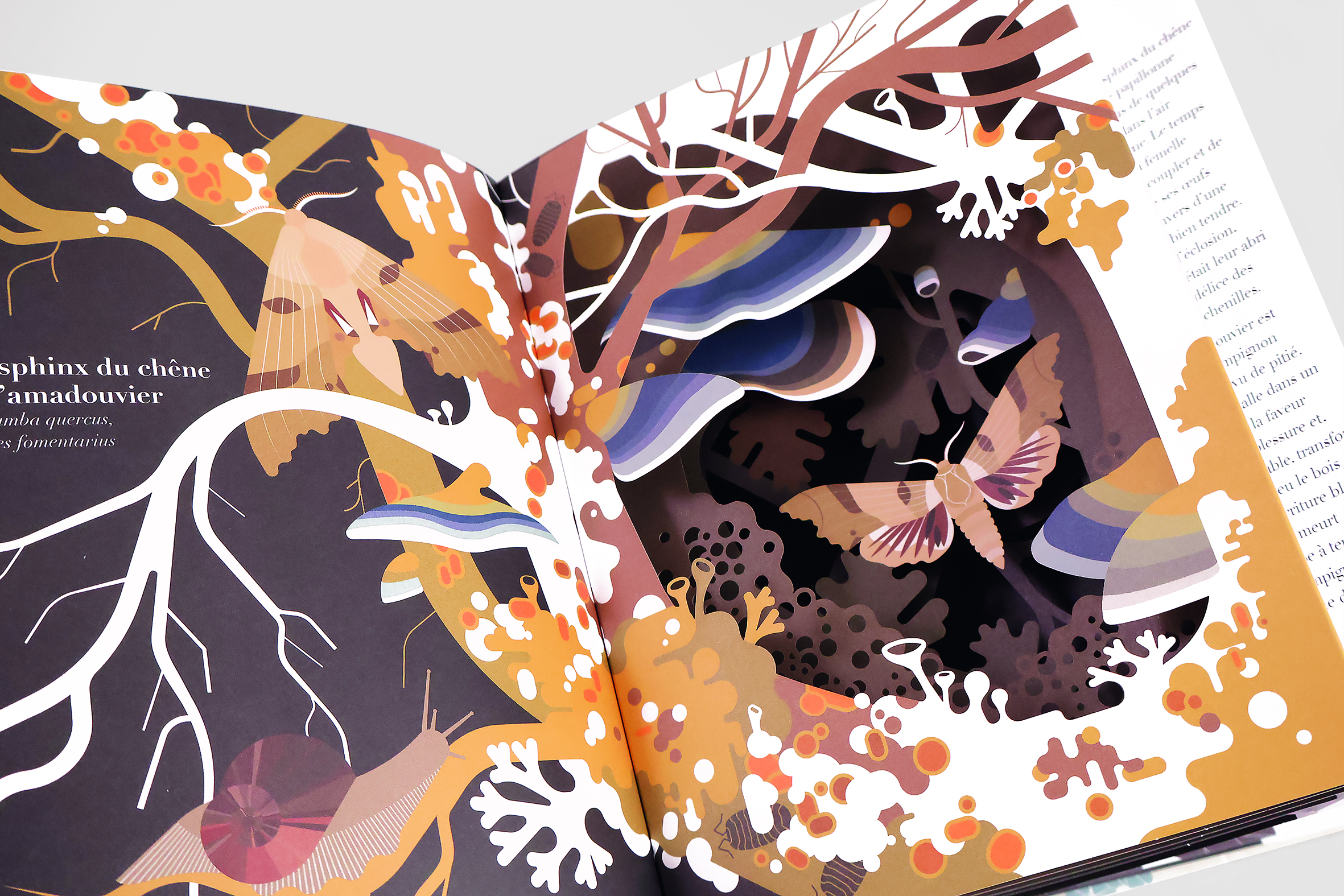 Dans le secret des feuillages_visuel 2