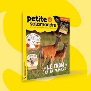 Petite Salamandre, 4-7 ans : Octobre-Novembre 2023