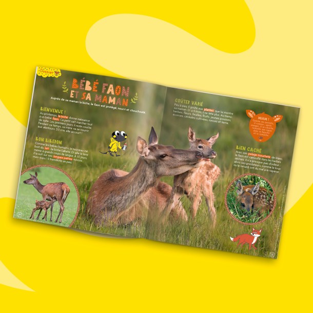 Fonds_Revues_octobre2023_PSA2