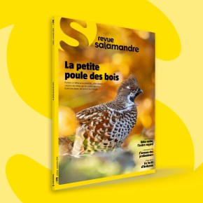 La Salamandre : Octobre-Novembre 2023