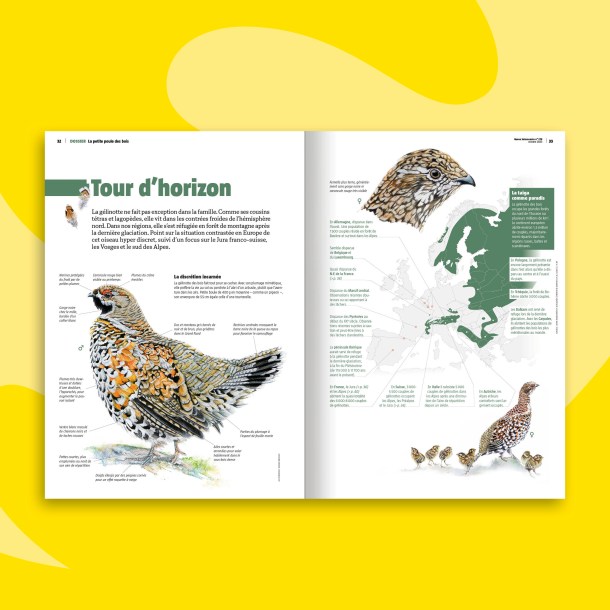 Fonds_Revues_octobre2023_SAL6